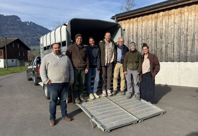 Exportgruppe Schwarzes Alpenschwein