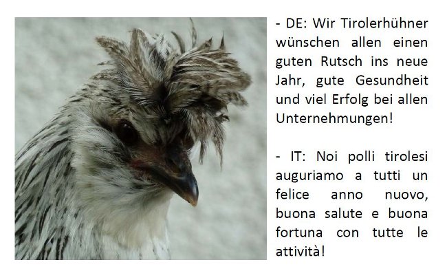 Neujahrsgruss